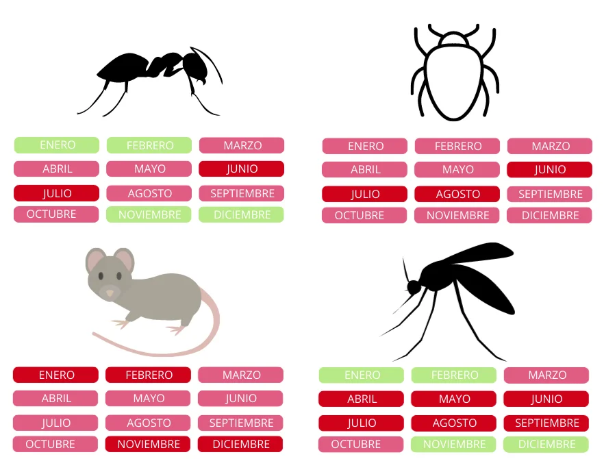 Calendario de control de plagas en bares y restaurantes